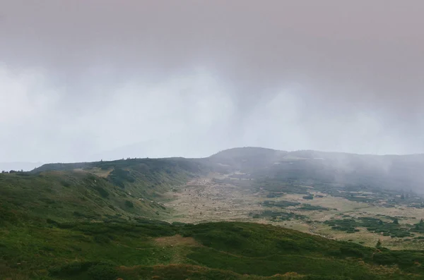 Carpathians 숲으로 언덕의 — 스톡 사진