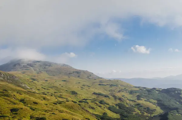 Pente Montagneuse Boisée Dans Nuage Bas Avec Les Conifères Sempervirents — Photo