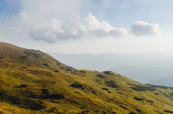 Pente Montagneuse Boisée Dans Nuage Bas Avec Les Conifères Sempervirents — Photo