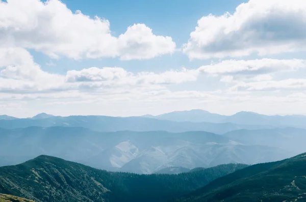 Pente Montagneuse Boisée Dans Nuage Bas Avec Les Conifères Sempervirents — Photo