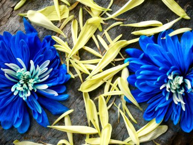 Ahşap arka plan üzerinde yaprakları ile kaplı simgesi yüzde