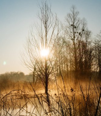 Sabah nehirde. Çayır sızıntısı üzerinde turuncu şafak