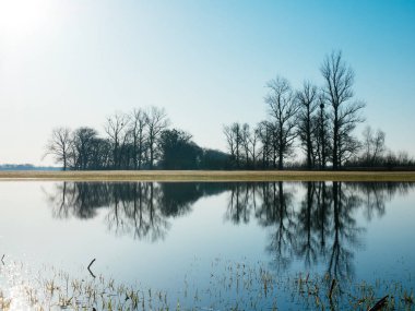 Yağmur göl alanı. Erken Bahar.