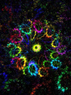 gökkuşağı soyut fraktal arkaplan 3d oluşturma