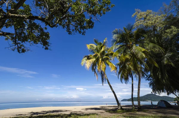 parlak güneşli bir günde ve mavi gökyüzü arka plan altında tropikal plaj