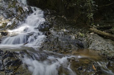 güzel doğa, basamaklı tropikal Nehri üzerinden ıslak taşın güneşli gün akan