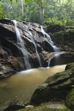 bulanık ve seçici odak resim yeşil orman güneş ışığı etkisi ile. dağdan aşağı düşen güzel tropik şelale. Yeşil yosunlu kayanın üzerinde