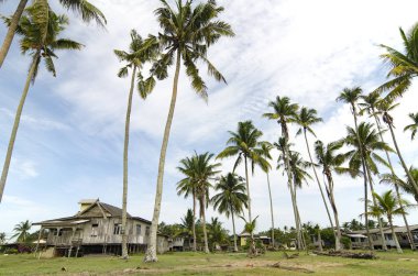 Terengganu, Malezya'da bulunan güzel köy sahne. Hindistan cevizi ağacı, bulutlu gökyüzü ve yeşil çim çevrili