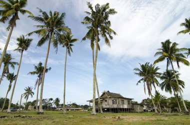 Terengganu, Malezya'da bulunan güzel köy sahne. Hindistan cevizi ağacı, bulutlu gökyüzü ve yeşil çim çevrili