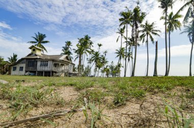bulanık görüntü arka planını Terengganu, Malezya'da bulunan Hindistan cevizi ağacı, yeşil çim ve bulutlu mavi gökyüzü güneşli gün, çevrili geleneksel ahşap ev. 
