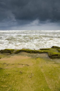 güzel Deniz Manzaralı, canlı yeşil yosunlu ve algae.dramatic bulutlu gökyüzü tarafından kaplı kaya isabet dalga