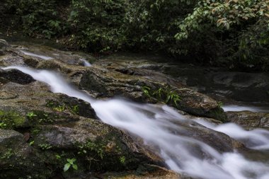 Tropik yağmur ormanı akan basamaklı Nehri'nin güzel sahne