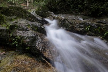 Güzel doğa, yeşil doğa ile çevrili tropikal Nehri akış