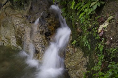 Tropik yağmur ormanı akan basamaklı Nehri'nin güzel sahne