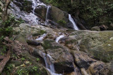 Tropik şelale güzel yeşil ormanın içinden akan inanılmaz sahne