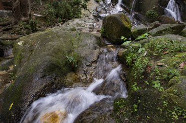 Tropik şelale güzel yeşil ormanın içinden akan inanılmaz sahne