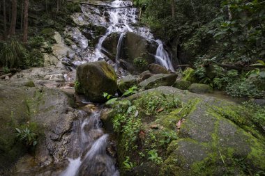Tropik şelale güzel yeşil ormanın içinden akan inanılmaz sahne