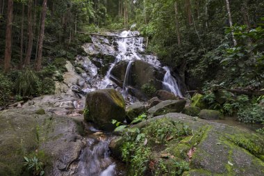 Tropik şelale güzel yeşil ormanın içinden akan inanılmaz sahne