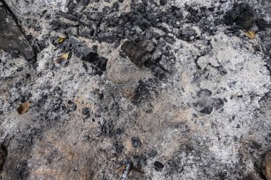 Küller ve kömür arka plan ve doku için ideal. seçici odak vurdu