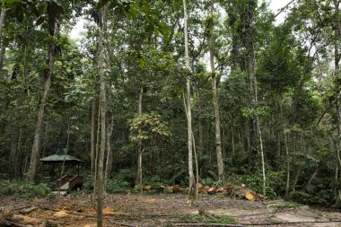 Kanching şelale, tropikal yağmur ormanları Selangor, Malezya içinde bulunan