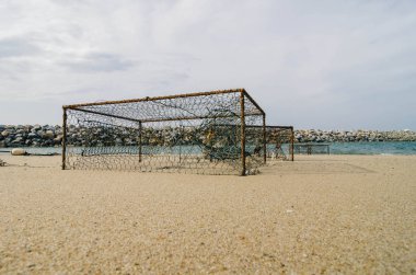 closeup paslı yengeç tencere kum plajındaki bulutlu gökyüzü beyaz. orta odak