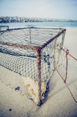 paslı yengeç tencere bulanık su üzerinde kum plajındaki background.focus etkisi tonlama field.color middle.shallow derinlemesine kırmak.