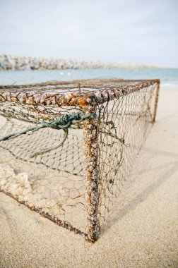 güneşli kumlu plaj portre paslı yengeç pot. orta odak