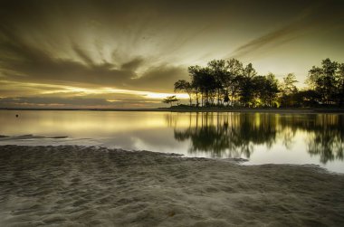 Ağaç yansıma su ve güzelliği günbatımı sunrise.sand ve sıcak ortam