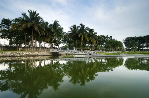 Bela Manhã Lakeside Coconut Árvore Reflexão Ponte Lago — Fotografia de Stock