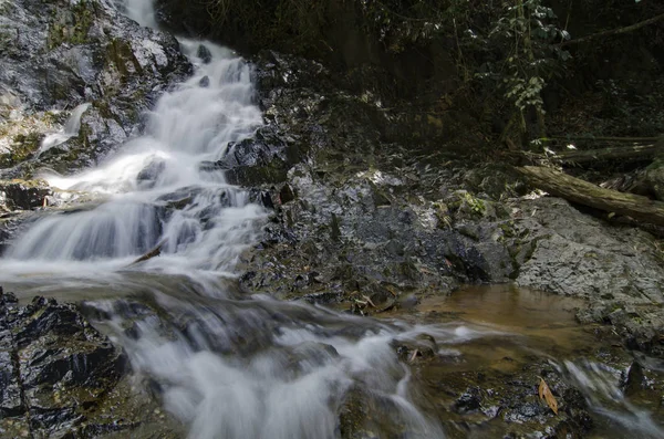 güzel doğa, basamaklı tropikal Nehri üzerinden ıslak taşın güneşli gün akan