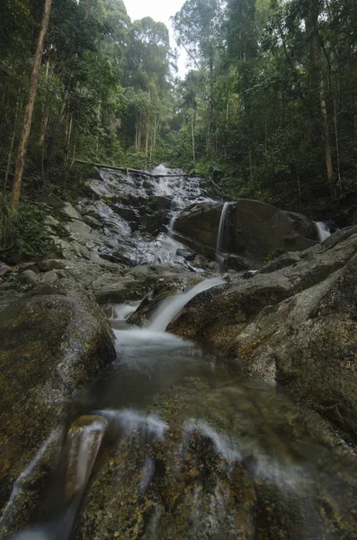 güzel tropikal nehir yeşil orman tarafından çevrili. temiz su ve dalgalar. ıslak taş ve Şelalenin arkasında