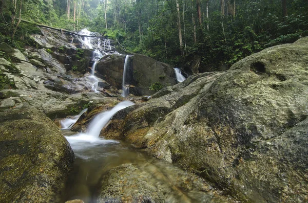 su akışı ve yeşil orman tarafından çevrili güzel şelale