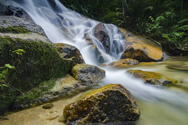 doğada, basamaklı tropik şelale inanılmaz güzel. ıslak ve yosunlu rock, yeşil yağmur ormanıyla çevrili