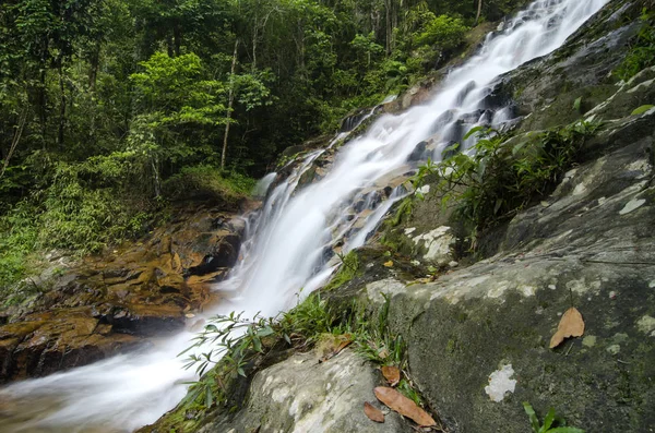 doğada, basamaklı tropik şelale inanılmaz güzel. ıslak ve yosunlu rock, yeşil yağmur ormanıyla çevrili