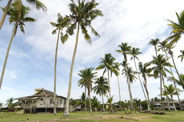 Terengganu, Malezya'da bulunan güzel köy sahne. Hindistan cevizi ağacı, bulutlu gökyüzü ve yeşil çim çevrili