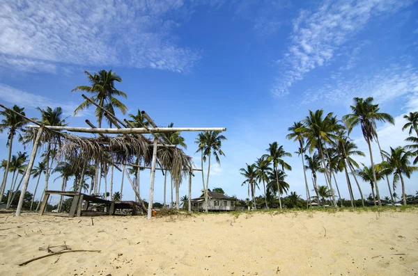 plaja yakın ahşap evi ve yaprakları çatılı güzel kırsal sahne. bulutlu gökyüzü ve mavi gökyüzü arka plan