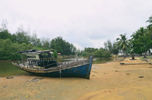 Kumsalda karaya ahşap gemi enkazı. bulutlu gökyüzü ve yeşil ağaç arka plan