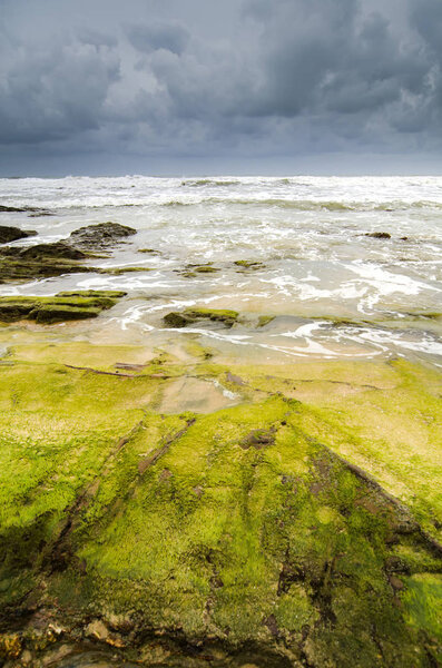 green mossy on rock hitting by soft waves over dark and cloudy sky.selective focus shot