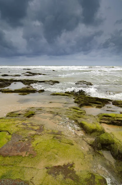 yeşil kaya yumuşak dalgalar tarafından karanlık ve bulutlu sky.selective odak çekim vurmanın yosunlu
