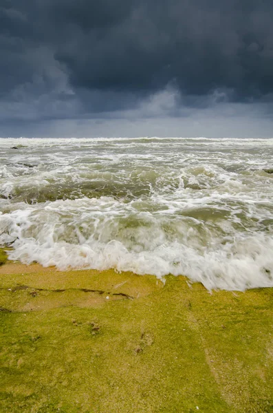 Hermosa Vista Mar Ola Golpeando Roca Cubierta Por Vibrante Verde —  Fotos de Stock