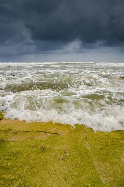 Bela Vista Para Mar Onda Atingindo Rocha Coberta Por Musgo — Fotografia de Stock