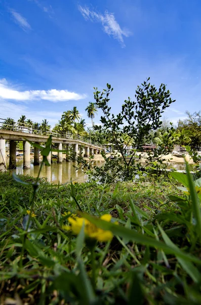 Plano Superficie Hermosa Naturaleza Zona Rural Ubicada Terengganu Malasia Puente —  Fotos de Stock