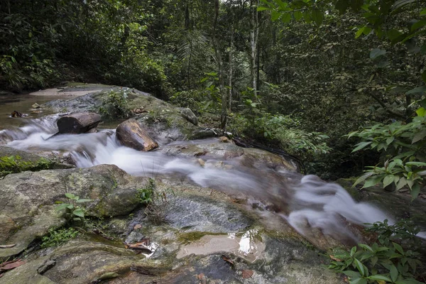 Tropik yağmur ormanı akan basamaklı Nehri'nin güzel sahne
