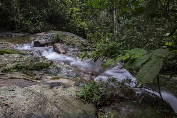 Güzel doğa, yeşil doğa ile çevrili tropikal Nehri akış