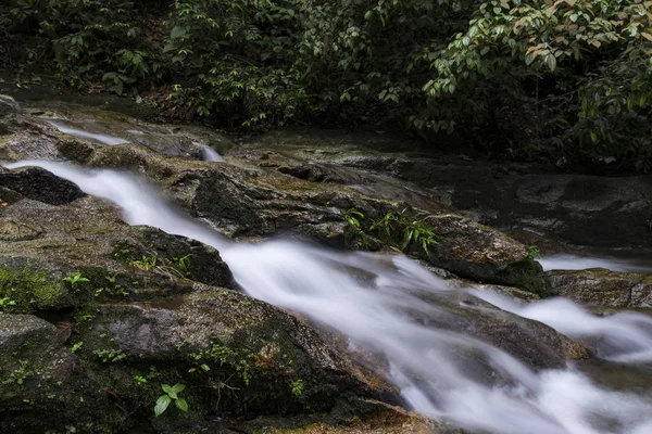 Tropik yağmur ormanı akan basamaklı Nehri'nin güzel sahne