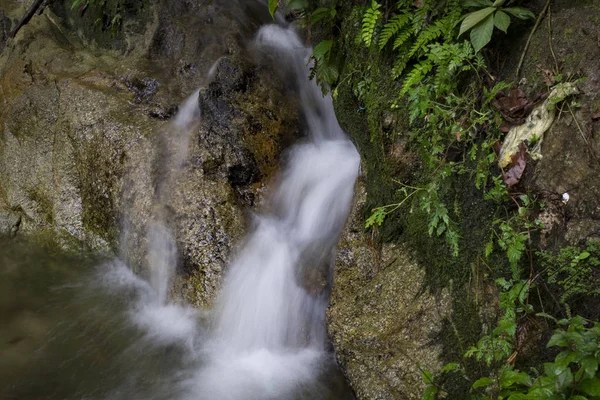Tropik yağmur ormanı akan basamaklı Nehri'nin güzel sahne