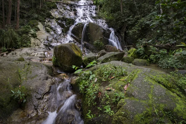 Tropik şelale güzel yeşil ormanın içinden akan inanılmaz sahne