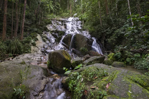 Tropik şelale güzel yeşil ormanın içinden akan inanılmaz sahne