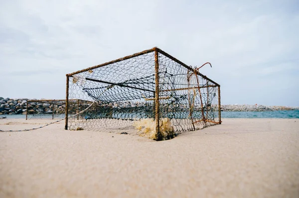 paslı yengeç tencere bulanık su üzerinde kum plajındaki background.focus etkisi tonlama field.color middle.shallow derinlemesine kırmak.