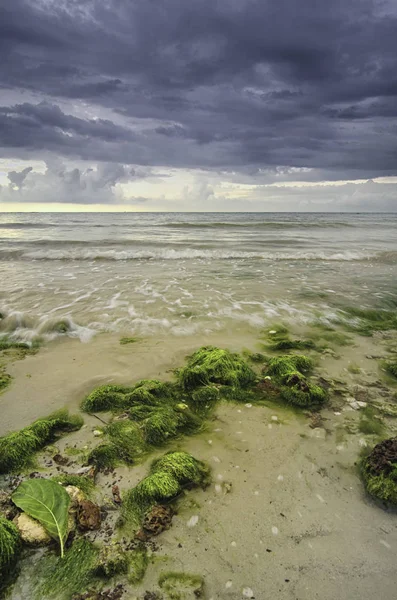 Bellissimo Paesaggio Sulla Spiaggia Con Alghe Sulla Roccia Onde Che — Foto Stock